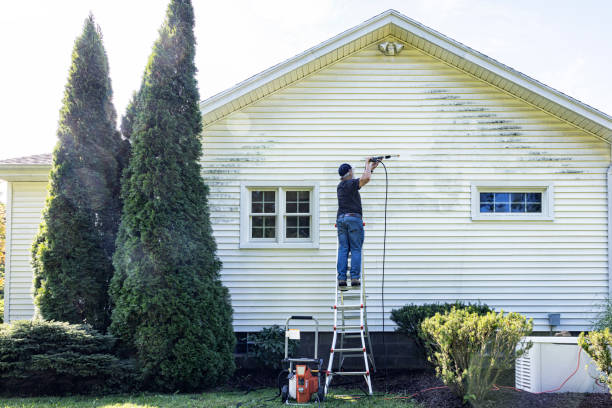 Best House Pressure Washing  in Amherst, TX