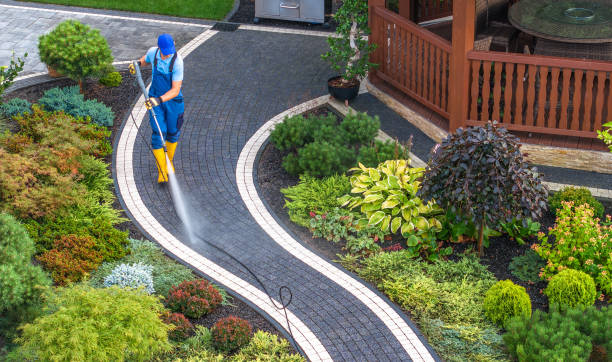 Best Pressure Washing Near Me  in Amherst, TX